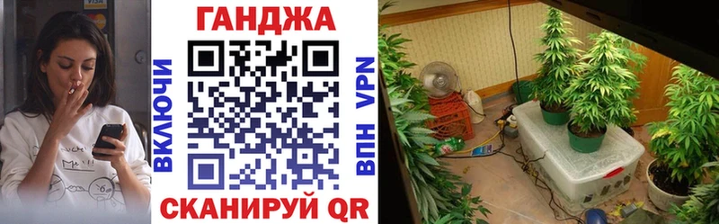 Бошки Шишки MAZAR  продажа наркотиков  MEGA ССЫЛКА  Аткарск 